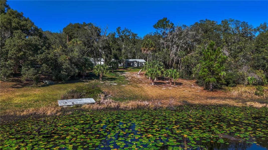 Natural landscape and outdoor views near  in Ocklawaha (Image 38).