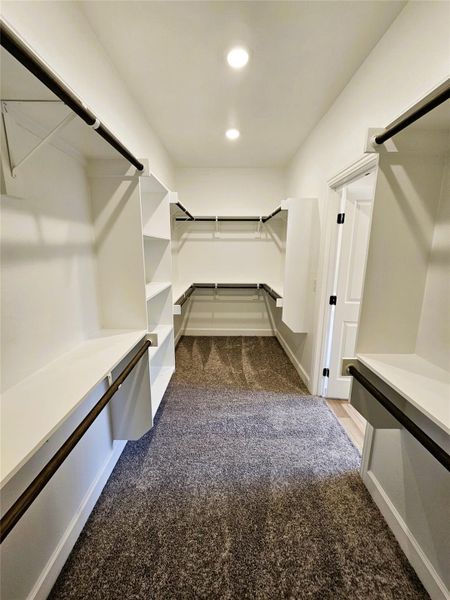 Spacious closet with dark colored carpet