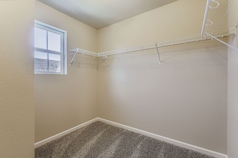 New Home in Fort Collins, CO.  - Slide 19