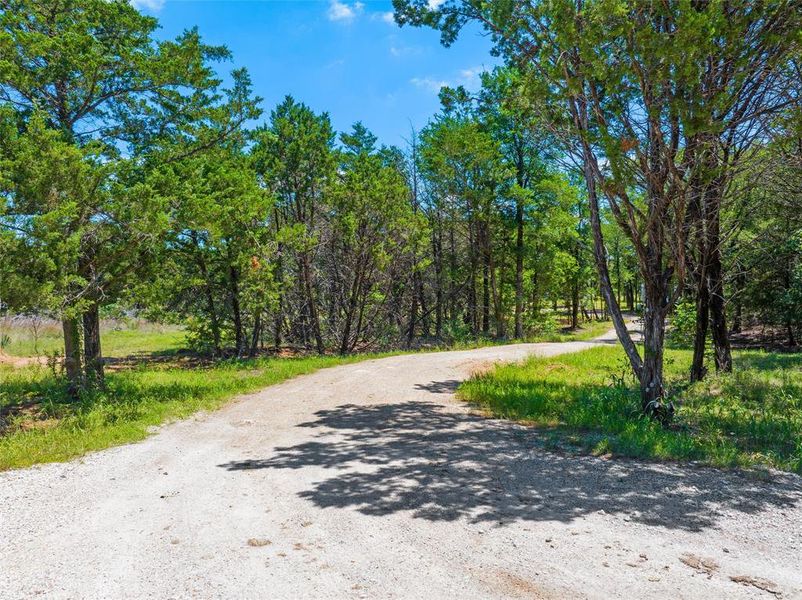 Natural landscape and outdoor views near in Gholson (Image 29). Natural landscape and outdoor views near in Gholson (Image 29).