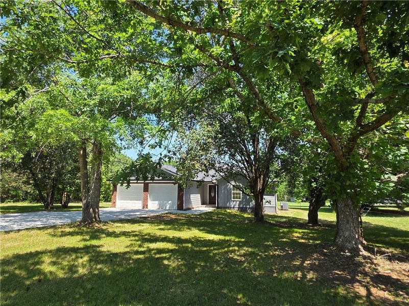 Natural landscape and outdoor views near  in Taylorsville (Image 32).