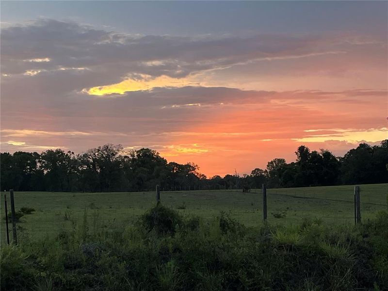 Natural landscape and outdoor views near  in Newberry (Image 30).