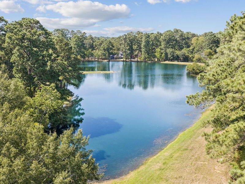Natural landscape and outdoor views near Windmill Estates in Magnolia (Image 30).