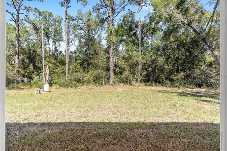 Natural landscape and outdoor views near  in Citrus Springs (Image 29).