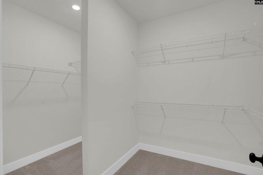 Spacious, unfurnished interior of a new home in Old Charleston Acres, Pelion (Image 29).