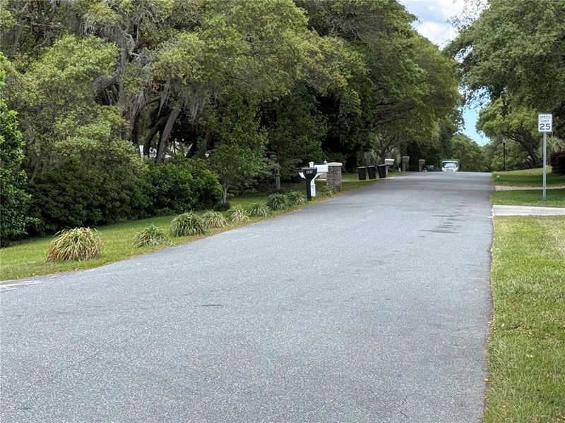 Natural landscape and outdoor views near  in Hernando (Image 58).