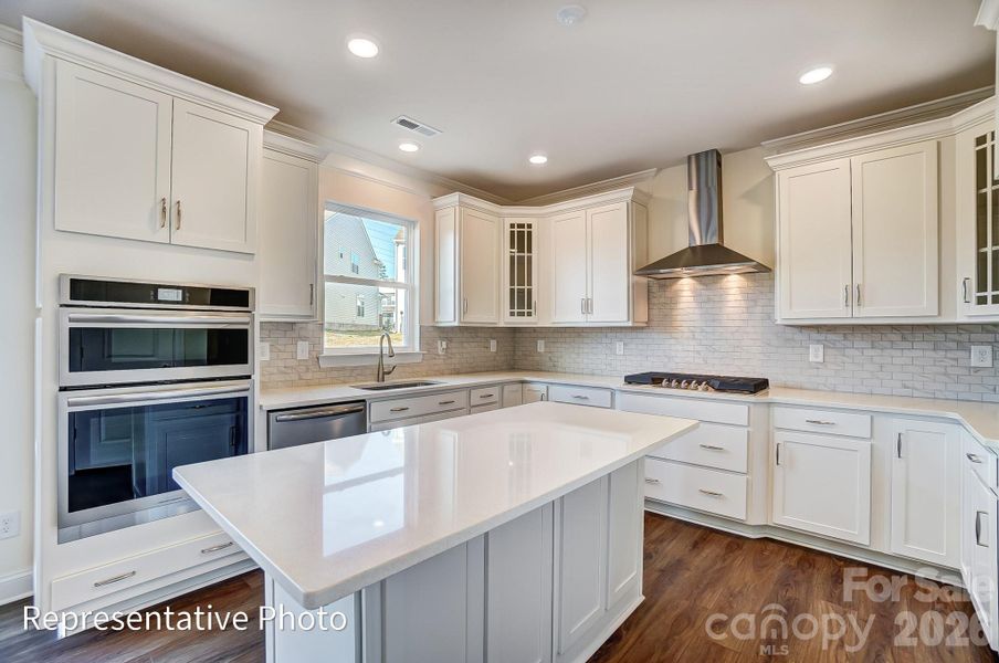 Example of designer kitchen