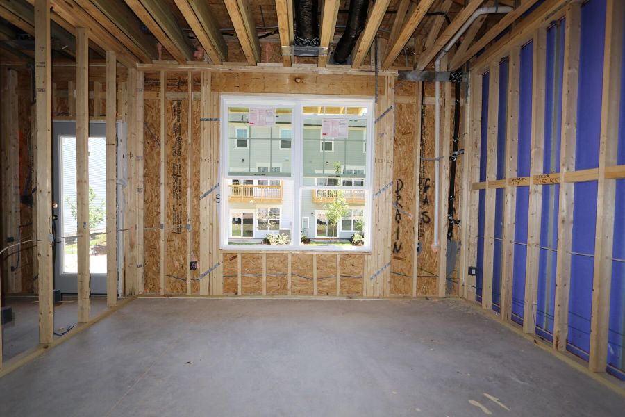 Framing Framing