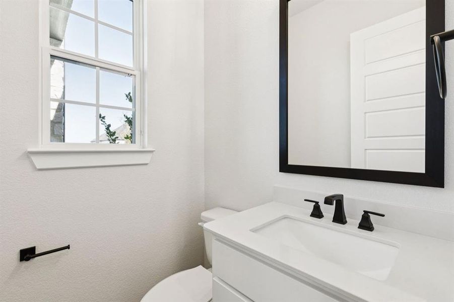 21-121Swan_021 21-121Swan_021