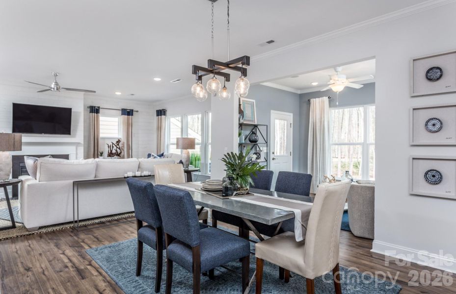 For Representation Purposes Only