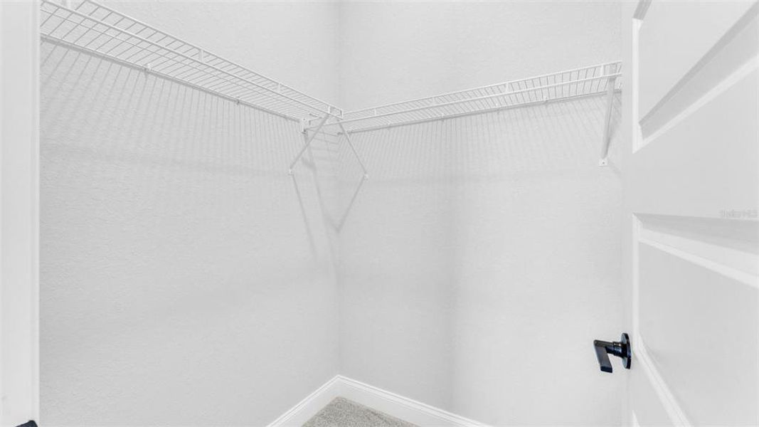 Spacious, unfurnished interior of a new home in , Lakeland (Image 24).