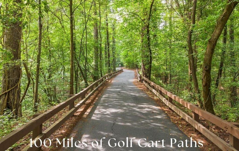 Natural landscape and outdoor views near Laurel Brooke in Peachtree City (Image 50).