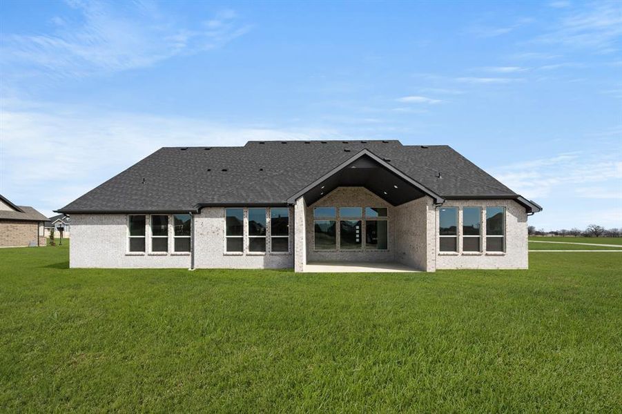 9320 Wood Duck- Back-3 9320 Wood Duck- Back-3