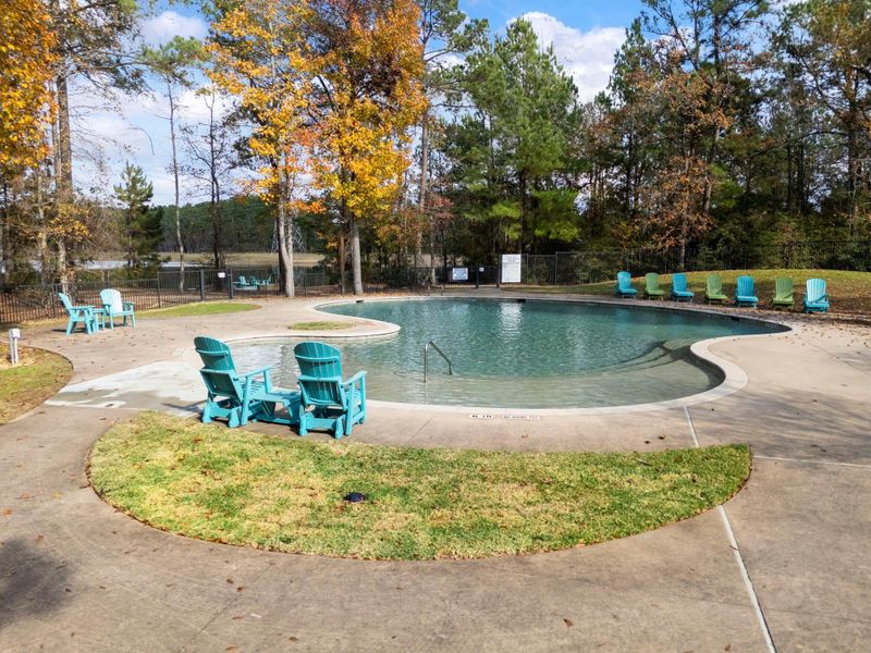Serene community outdoor pool surrounded by lush trees, with colorful Adirondack chairs for lounging. Perfect for relaxation and enjoying nature.