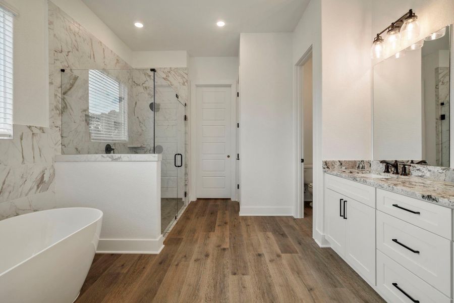 The master bathroom. The master bathroom.