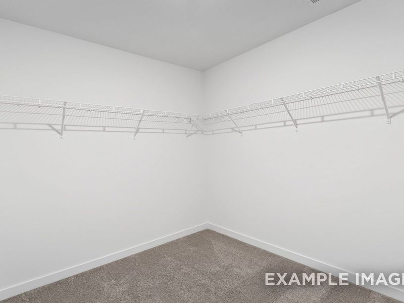 Representative unfurnished interior of a home built from the The Logan A by Davidson Homes LLC in Woods Crossing, Gallatin (Image 28). Representative unfurnished interior of a home built from the The Logan A by Davidson Homes LLC in Woods Crossing, Gallatin (Image 28).