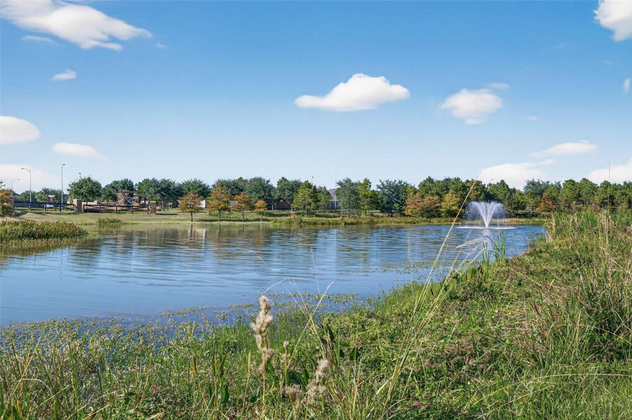 Natural landscape and outdoor views near 55+ Bonterra at Cross Creek Ranch 50s in Fulshear (Image 15).