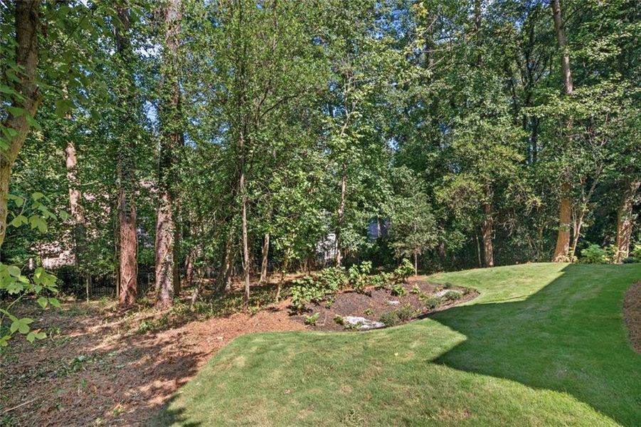 Natural landscape and outdoor views near in Atlanta (Image 75). Natural landscape and outdoor views near in Atlanta (Image 75).