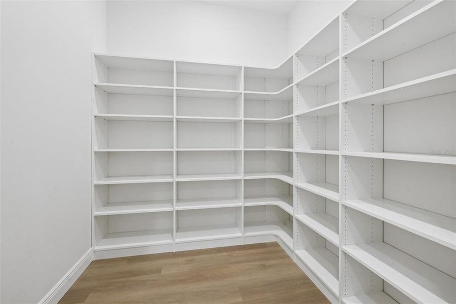 Spacious, unfurnished interior of a new home in , Tampa (Image 61).