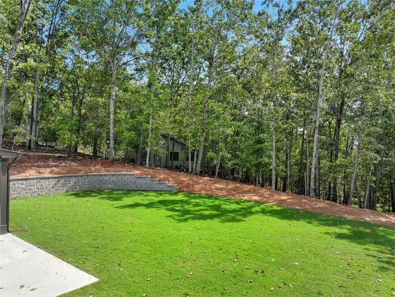 Natural landscape and outdoor views near  in Dawsonville (Image 41).