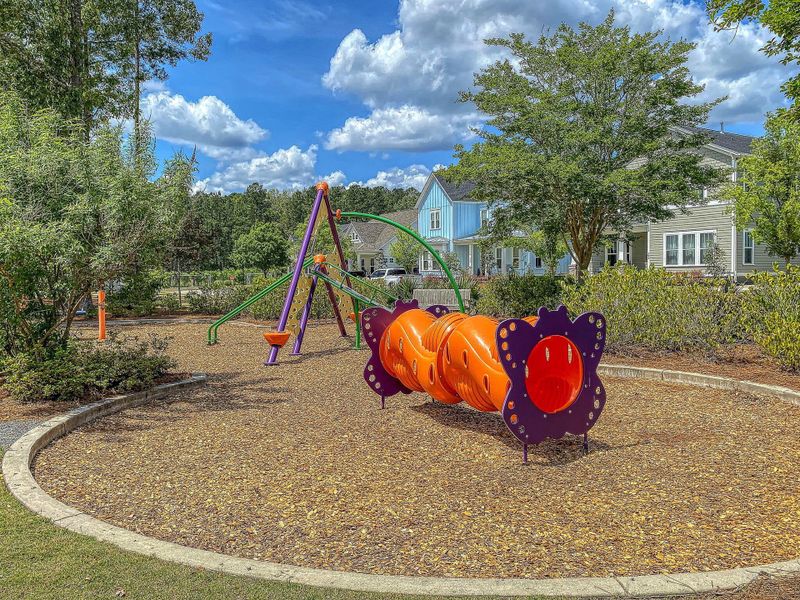 Community amenities in Heron's Walk at Summers Corner, Summerville (Image 52).