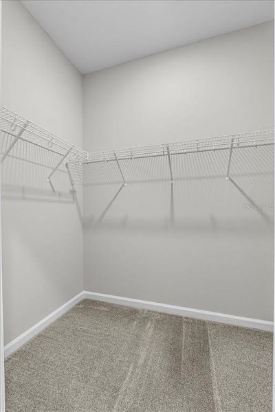 Spacious, unfurnished interior of a new home in , Mulberry (Image 29).