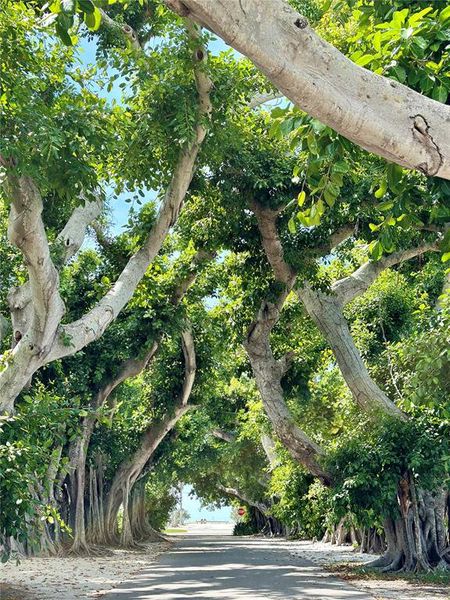 Image 24 of a home in .