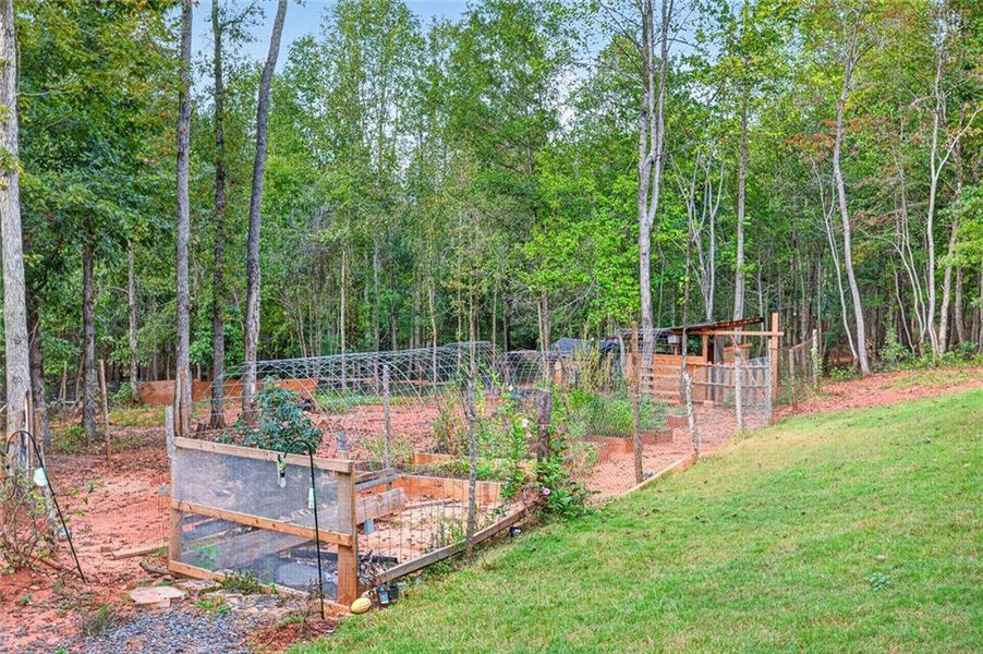 Community amenities in , Nicholson (Image 58).