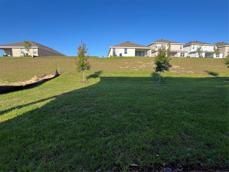 Image 29 of a home in Hills of Minneola.
