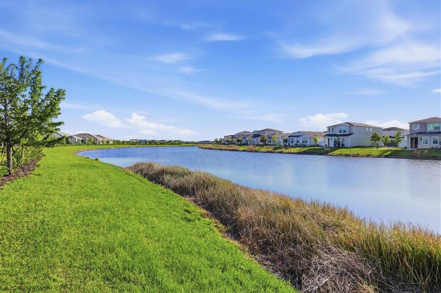 Natural landscape and outdoor views near in Venice (Image 58). Natural landscape and outdoor views near in Venice (Image 58).