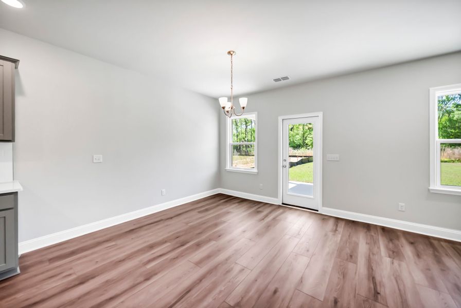 Spacious, unfurnished interior of a new home in Monroe Preserve, Chapin (Image 40).