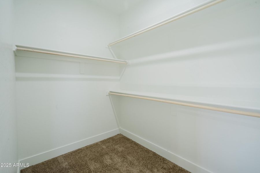 10199Bradshaw-15 10199Bradshaw-15