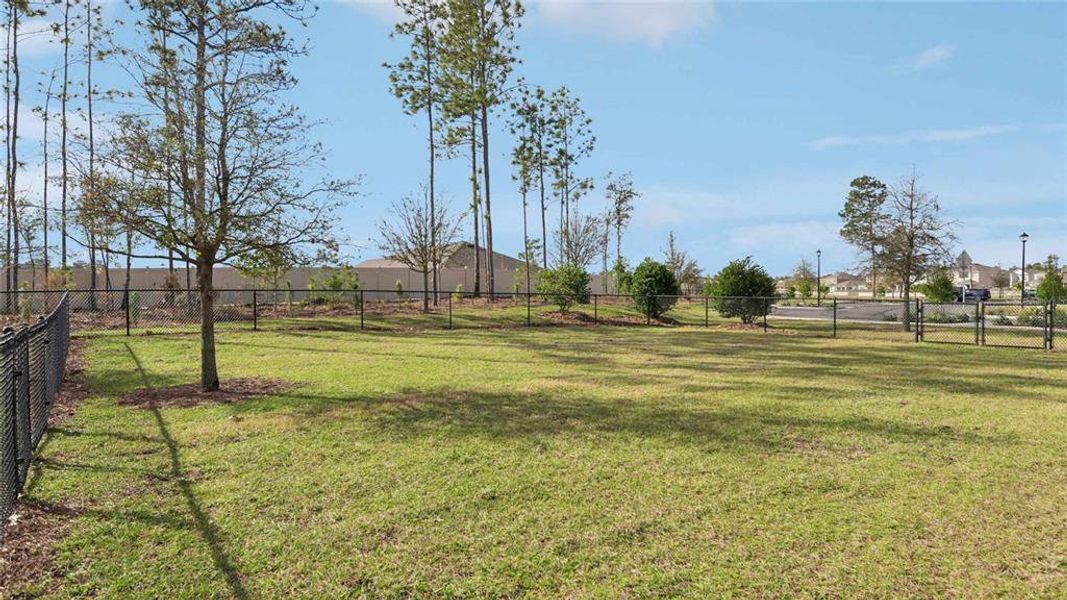 Natural landscape and outdoor views near Waterford in Brooksville (Image 46).