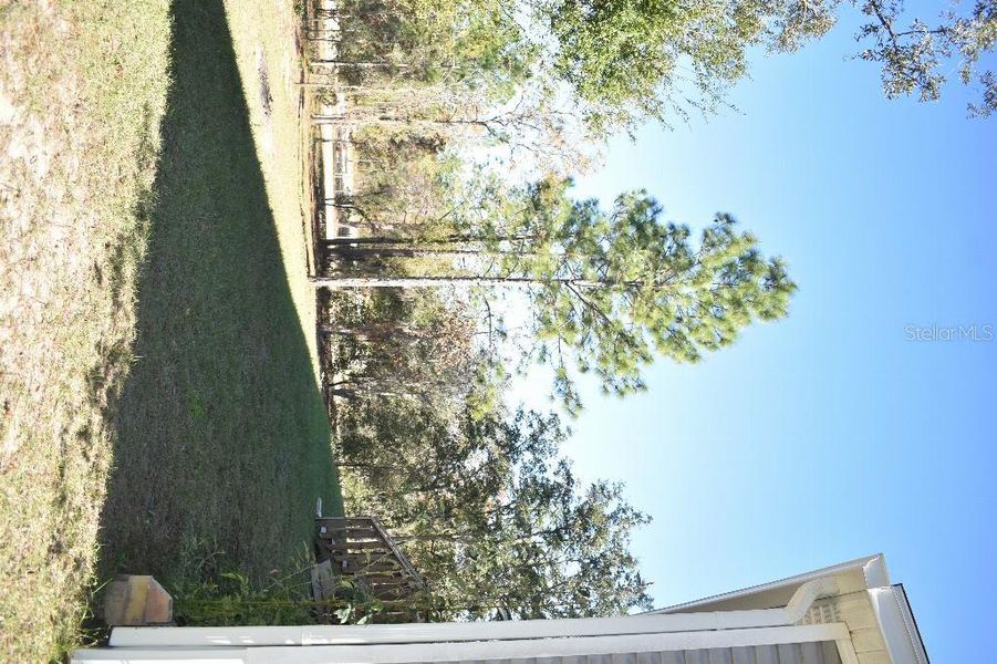 Natural landscape and outdoor views near  in Williston (Image 46).