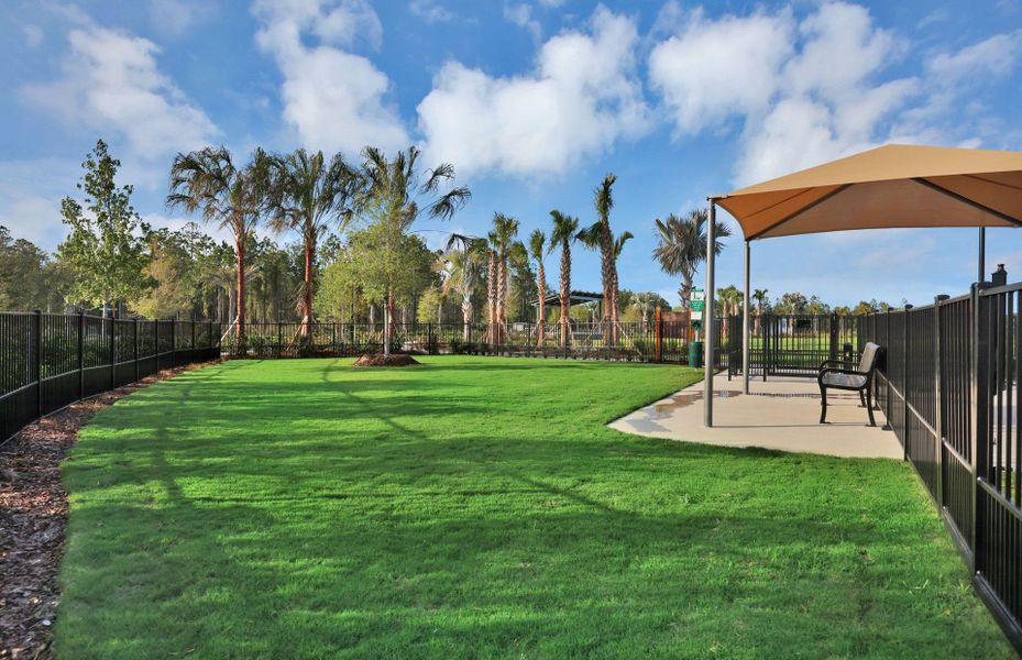 Community amenities in The Landings at Saint Johns, St. Johns (Image 29).