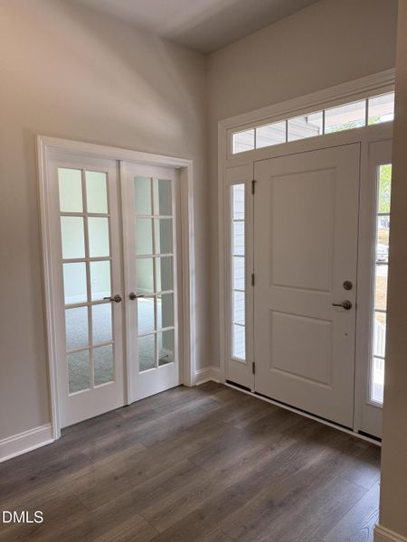 IMG_2365