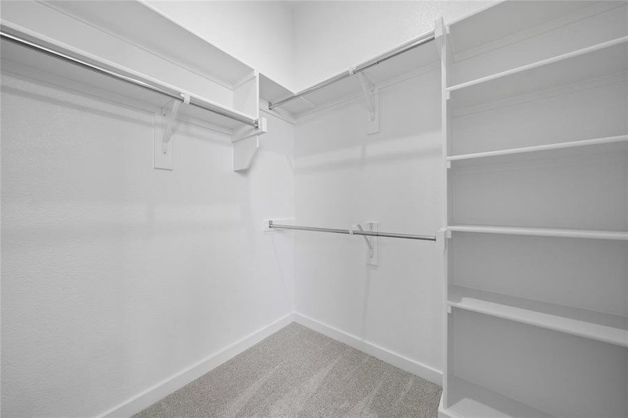 Walk-in closet featuring built-in shelving, multiple hanging rods, and light-toned carpeting