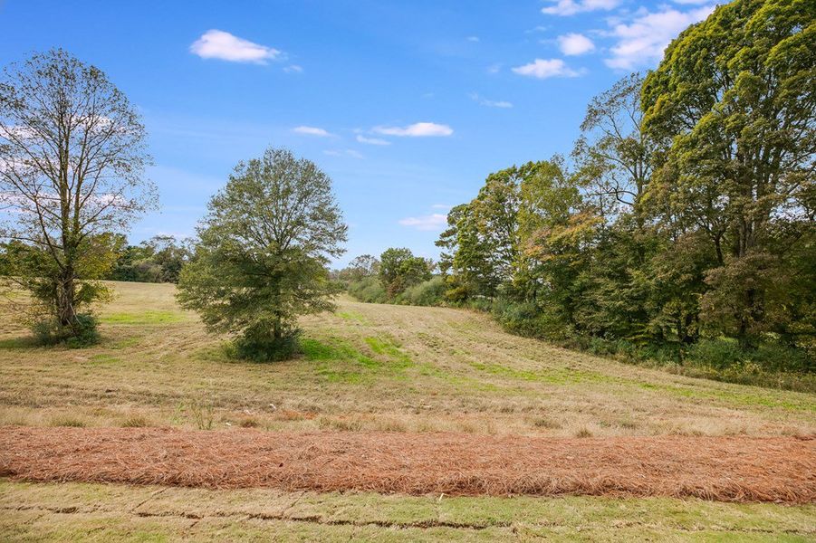 Natural landscape and outdoor views near Parmer Farms in Roopville (Image 36).
