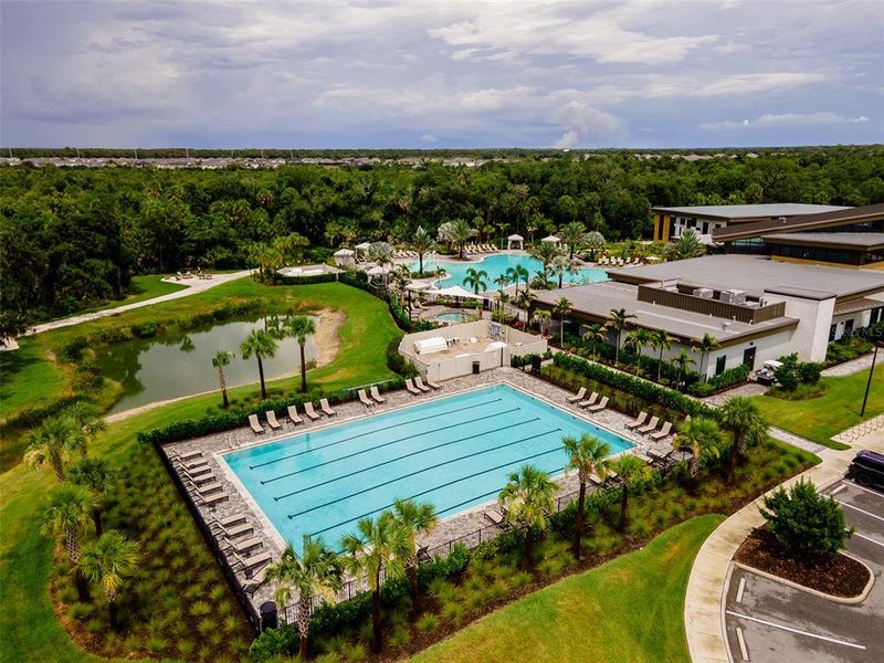 Community amenities in , Sarasota (Image 71). Community amenities in , Sarasota (Image 71).