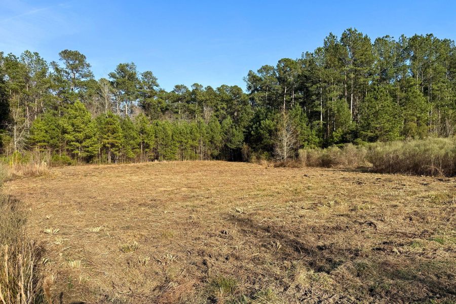 Natural landscape and outdoor views near  in Moncks Corner (Image 16).