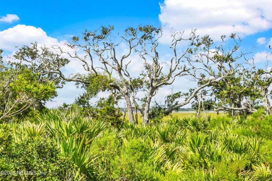 Natural landscape and outdoor views near Seaside Vista in St. Augustine (Image 65). Natural landscape and outdoor views near Seaside Vista in St. Augustine (Image 65).