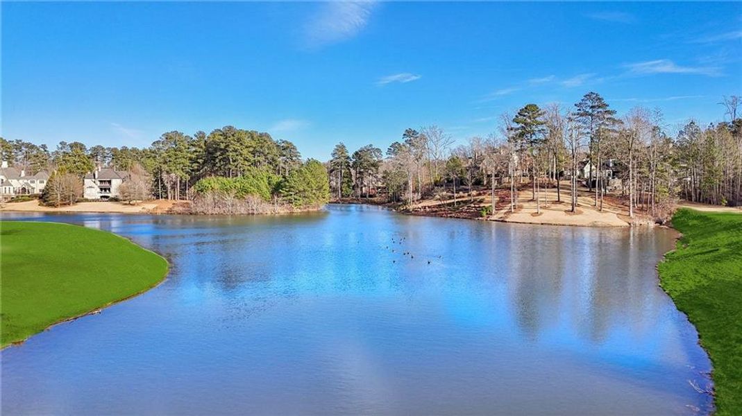 Natural landscape and outdoor views near  in Suwanee (Image 92).
