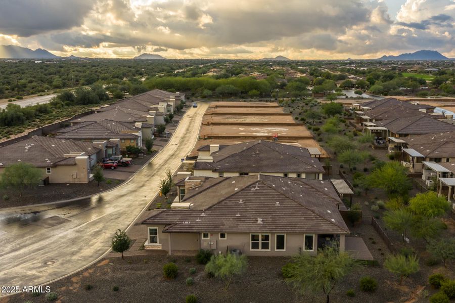 49) BACKYARD 49) BACKYARD