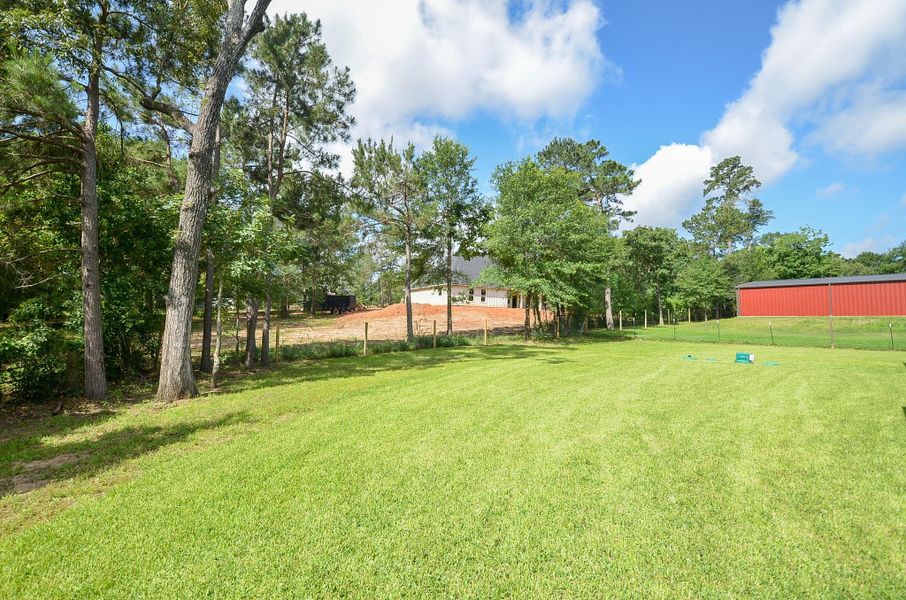 Natural landscape and outdoor views near  in Plantersville (Image 43).