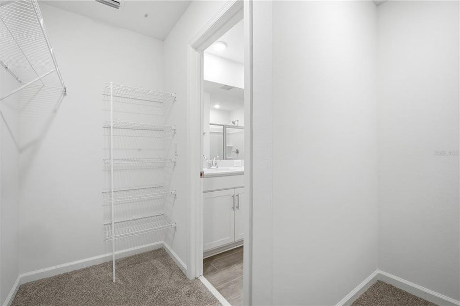 Spacious, unfurnished interior of a new home in Maple Ridge, Palmetto (Image 18). Spacious, unfurnished interior of a new home in Maple Ridge, Palmetto (Image 18).