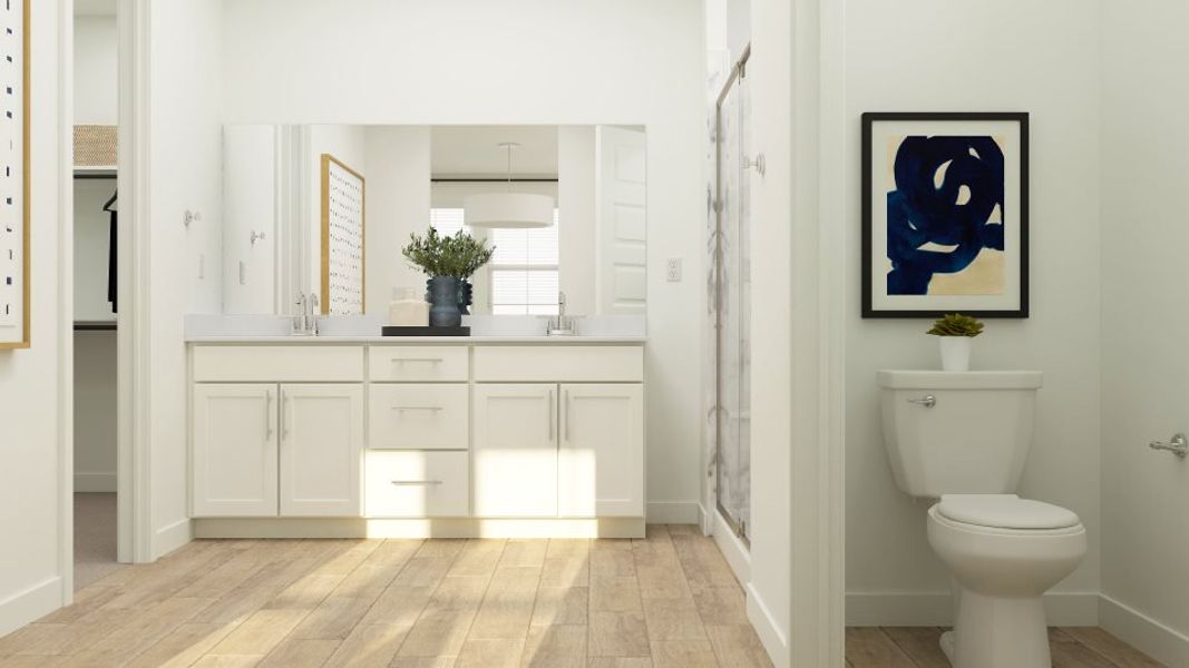 Owner's bathroom sinks and private commode