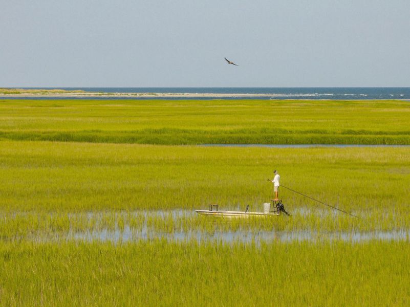 Natural landscape and outdoor views near  in Seabrook Island (Image 95).