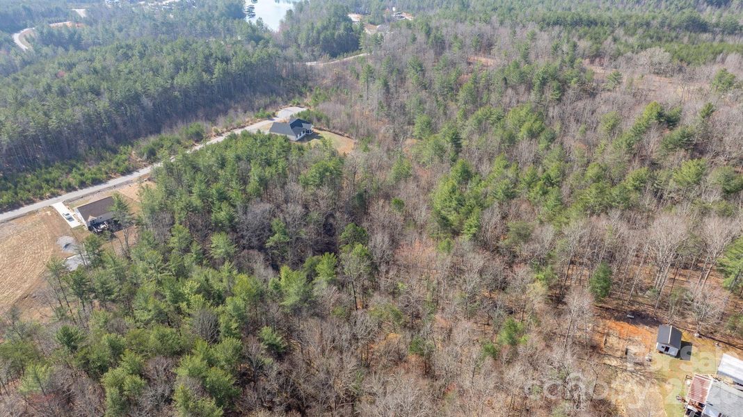 Natural landscape and outdoor views near  in Morganton (Image 16).