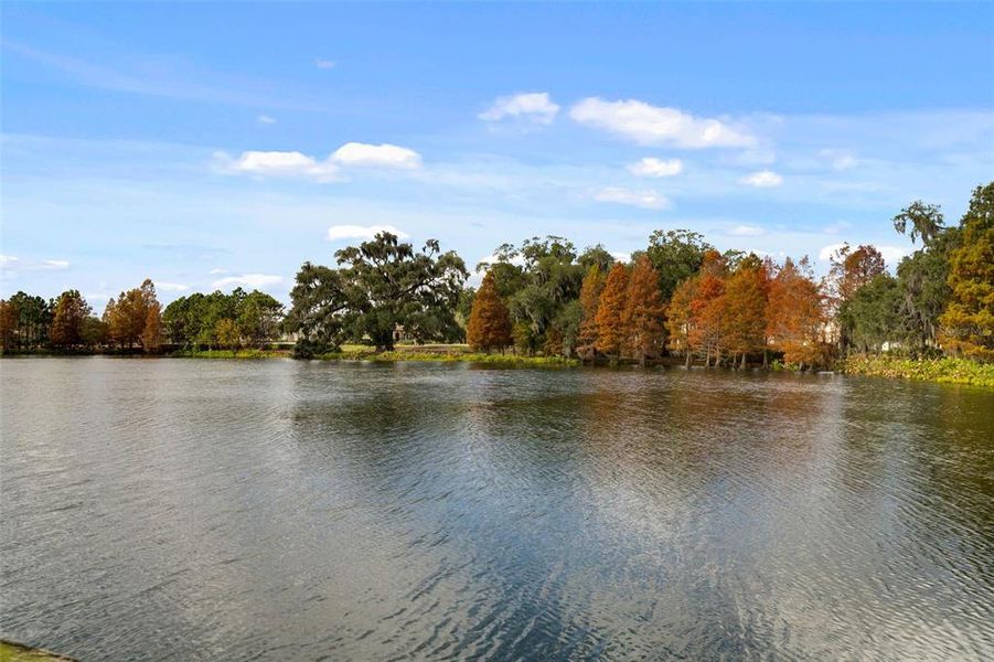 Natural landscape and outdoor views near Oakland Park in Winter Garden (Image 45).