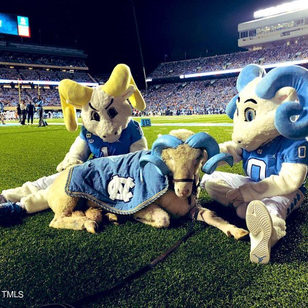 Rameses